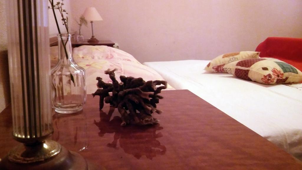 Apartmani Conar Drvenik Veliki Zewnętrze zdjęcie